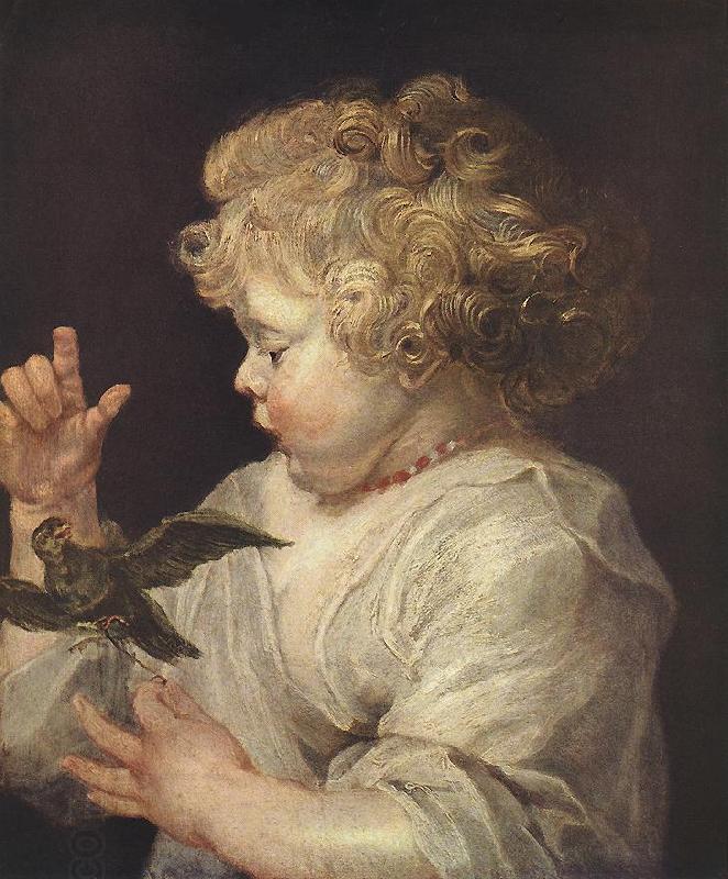 RUBENS, Pieter Pauwel Boy with Bird oil painting picture